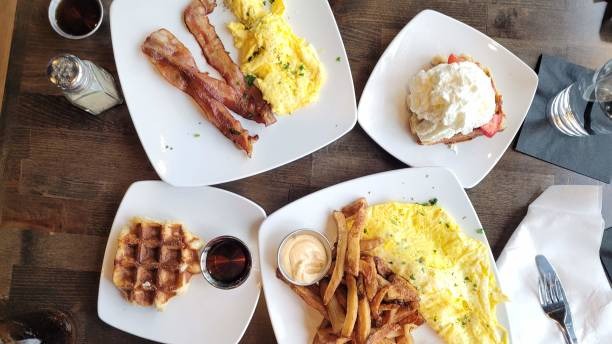 Egg Posh The Ultimate Destination for Gourmet Egg Dishes
