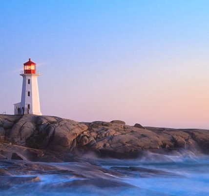 The Cheese Trail: A Journey Through Sardinia’s Shepherd Culture